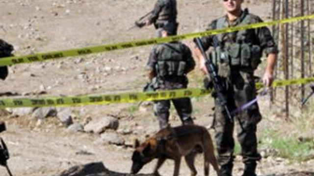 PKK'nın Devlet buraya giremez dediği bölge temizlendi