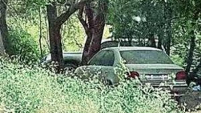 PKK'nın katliam otoparkı bulundu