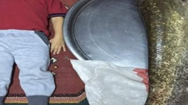 Barajdan bir dev çıktı