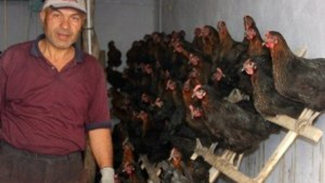 Hobi olarak başlamıştı, şimdi çiftlik kurdu