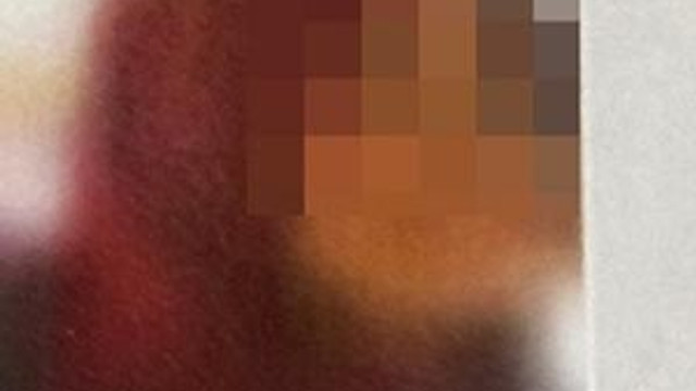 FETÖ'ye 9 ilde izdivaç operasyonu