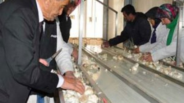 Fabrikasını kurdu dünyaya pazarlıyor !
