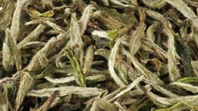 Beyaz çay yurt dışına satılamıyor