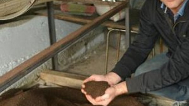 Ayda 2,5 ton solucan gübresi üretiyo