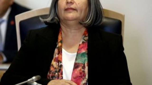 AB'den Gültan Kışanak açıklaması
