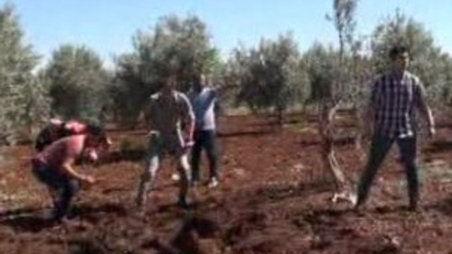 DEAŞ'tan Kilis'e roketli saldırı