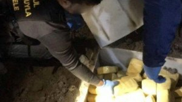Günün kahramanı: Narkotik köpeği Panzer
