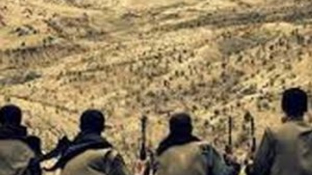 Ele geçirilen üst düzey PKK'lı o mu ?