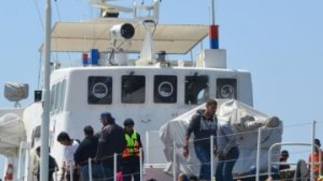 8 Afgan kaçak yakalandı