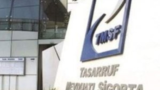 TMSF 2 şirketi satışa çıkardı