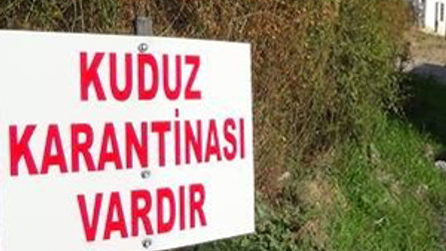 Mersin'de kuduz alarmı ! Mahalle karantinaya alındı