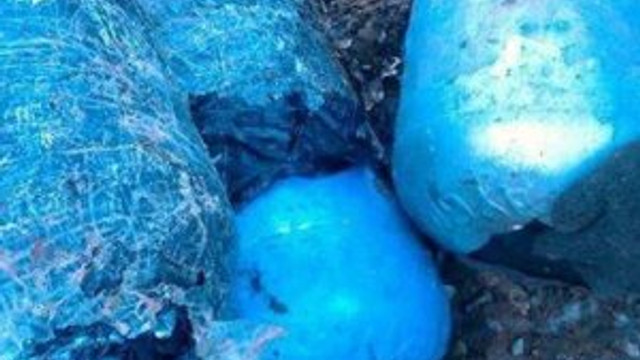 Tunceli'de 250 patlayıcı bulundu !