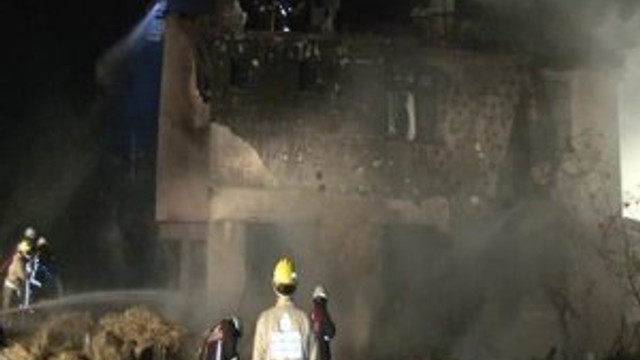 Beykoz'da çok sayıda hayvan telef oldu