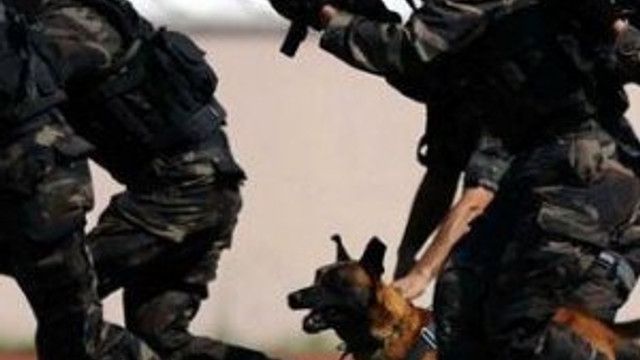 PÖH için rekor başvuru