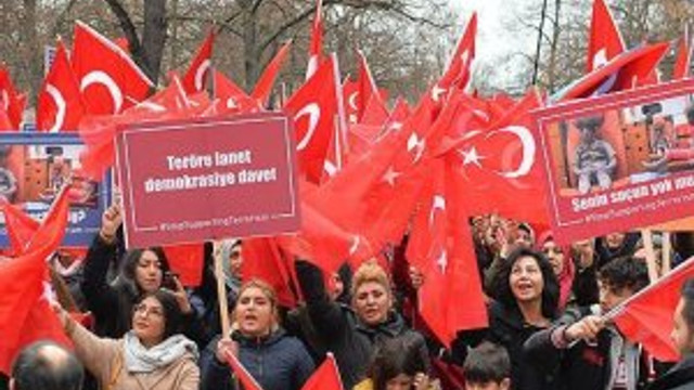 Avrupa'nın göbeğinde Türklerden 'demokrasi' dersi