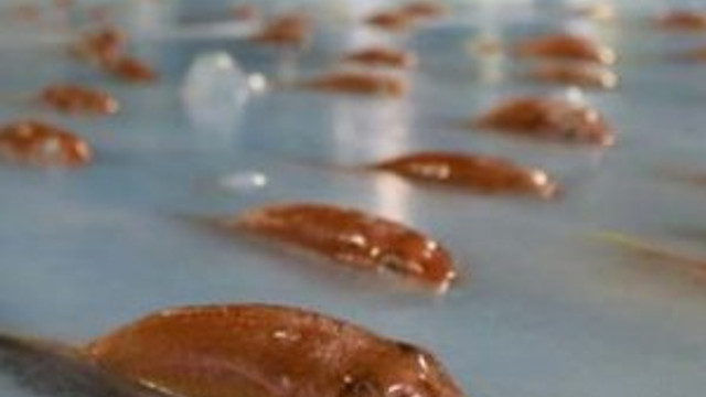 Dondurulmuş balıklı buz pistine tepki