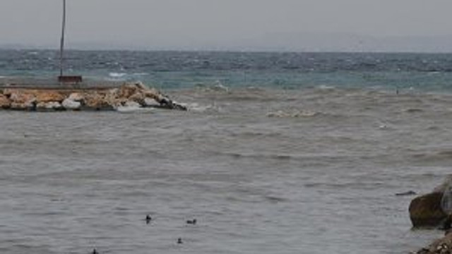 Yalova'da korkutan gelişme! Denizin rengi değişti