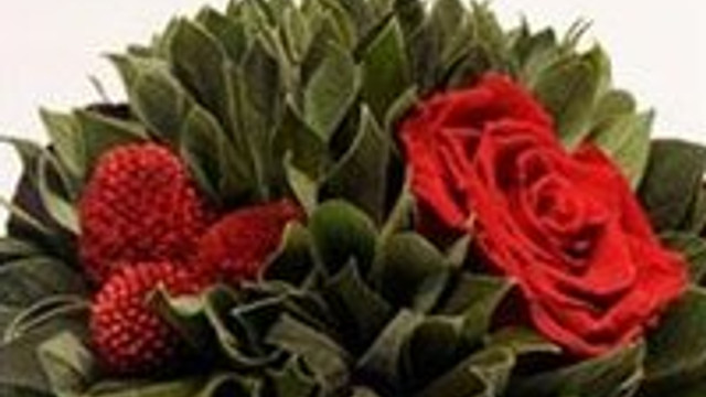 Dortlu Beyaz Solmayan Gul