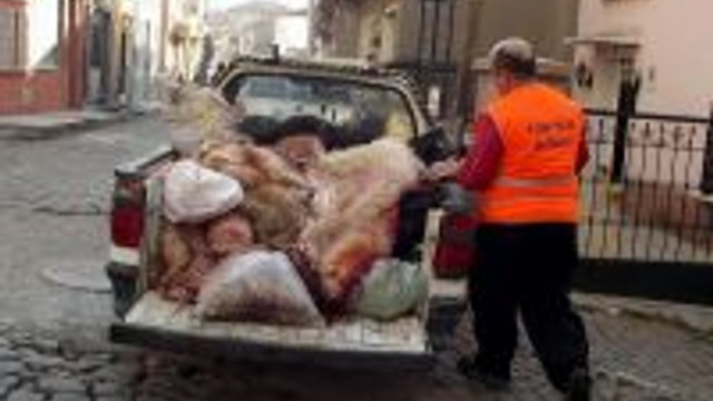 Ayvalik Ta Gayri Resmi Kurban Derisi Toplayanlar Thk Yi Zora Soktu Guncel