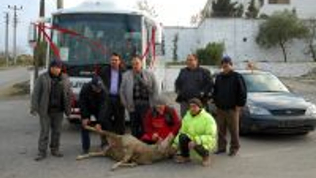 Bolayir Belediyesinde Otobus Sevinci Guncel