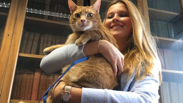Üç bacaklı kedi üniversitenin maskotu oldu