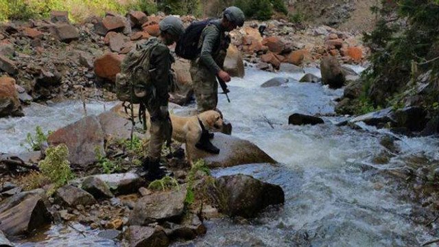 Bir haftada 51 terörist etkisiz hale getirildi