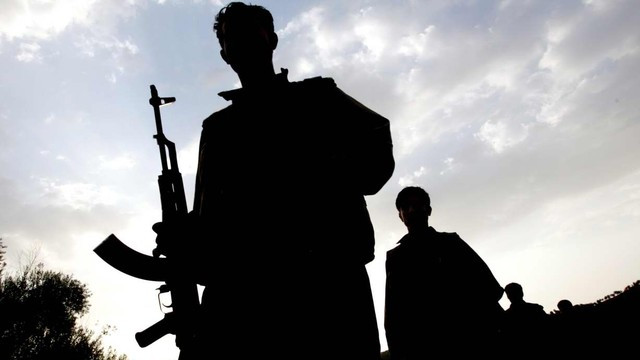 Hakkari'de 2 terörist öldürüldü