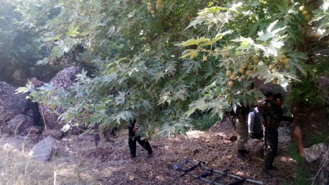 PKK'lı teröristler kaçırdıkları çobanı infaz etti