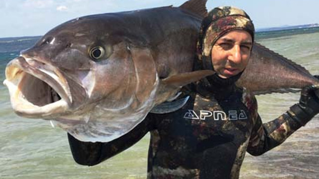 Zıpkınla 68 kilo balık avladı