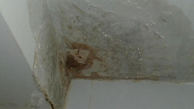 Akan banyo kavgası kanlı bitti