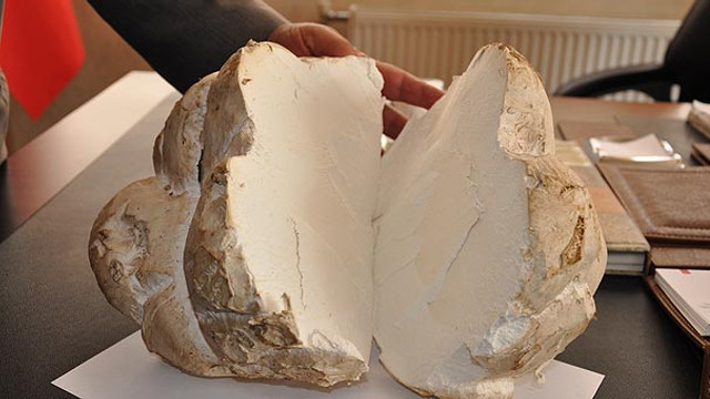 2.5 kilo ağırlığında... Herkesi şaşırttı