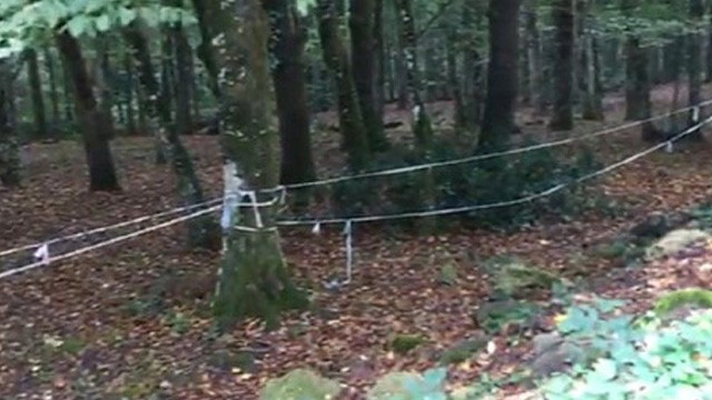 Cemal Kaşıkçı Belgrad Ormanı'nda aranıyor