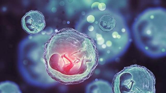 Sperm bağışına ve özendirenlere hapis cezası
