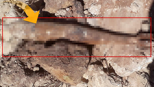 Antalya'da bulundu ! Güvenlik önlemi aldı...