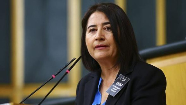 HDP'nin eski eşbaşkanı gözaltına alındı !