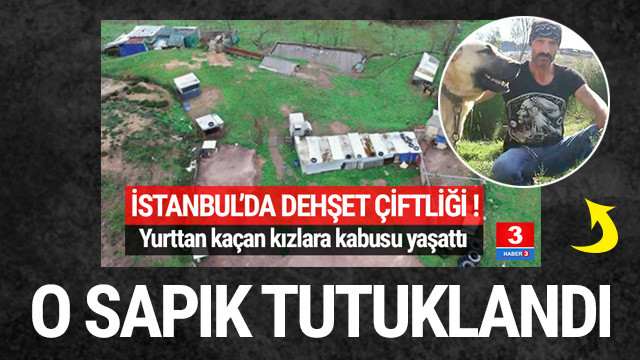 Istanbul Da Dehset Ciftligi O Sapik Tutuklandi Sanal Basin