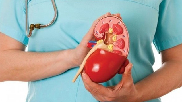 kronik bobrek yetmezligi belirtileri