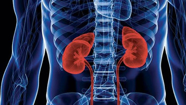 kronik bobrek yetmezligi nedenleri saglik