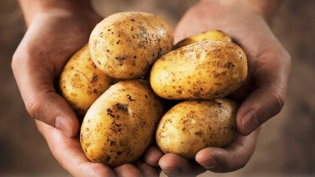 Patates fiyatlarıı düştü