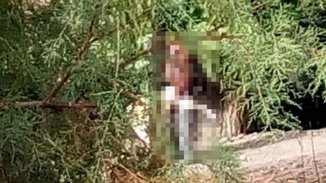 Yaşlı kadına sokakta tecavüze kalkıştı !