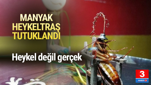 Hamam Bocegini Elektrikli Sandalyede Idam Ettigi Icin Tutuklandi Sanal Basin