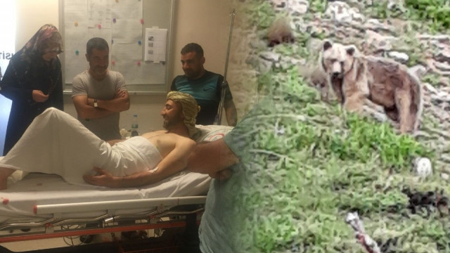 Piknik keyfi ayı saldırısıyla kabusa döndü