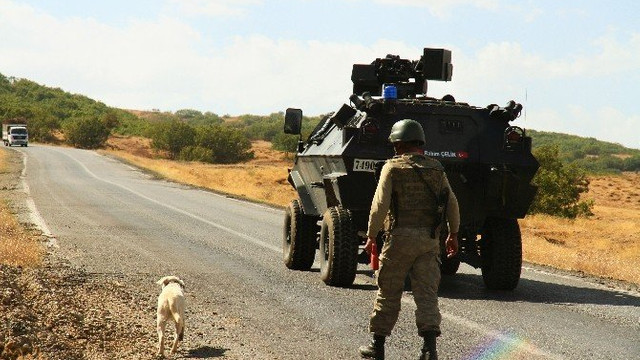 54 hain daha öldürüldü