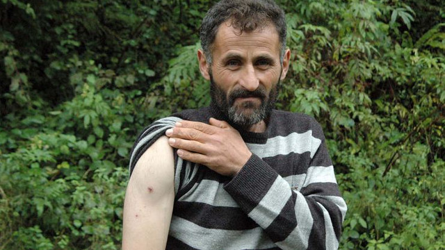 Gümüşhane'de ilginç olay ! Ayı çobana saldırdığına pişman oldu