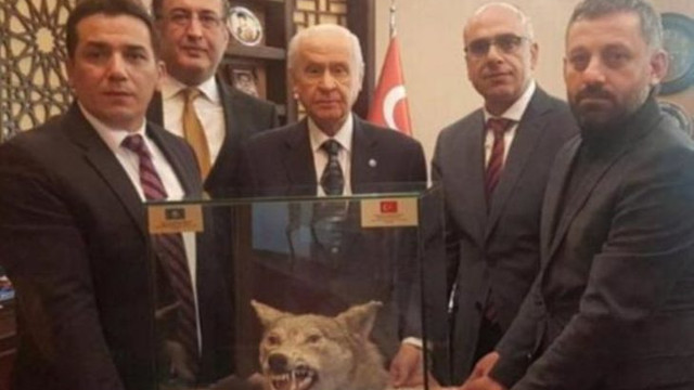 Bahçeliye doğum gününde kurt kafası hediyesi Bahçeliye doğum gününde kurt kafası hediyesi