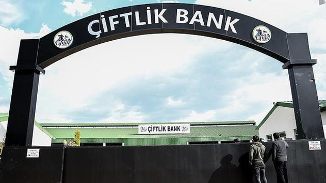 Çiftlikbank'ın sosyal medya sorumlusu yakalandı