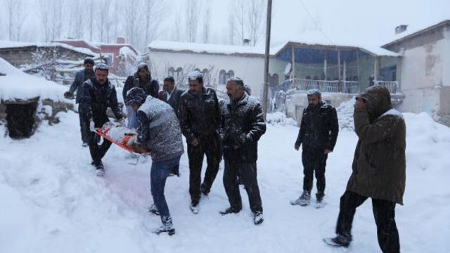 Yaralı köpek için karda 37 kilometre gittiler