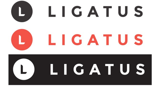 Ligatus Türkiye'den çekiliyor