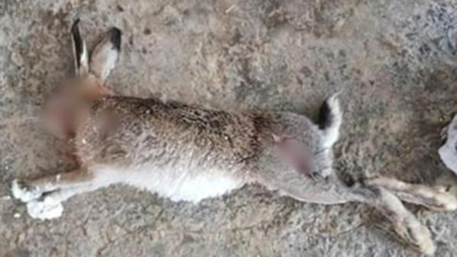 Sosyal medyayı ayağa kaldıran görüntü !