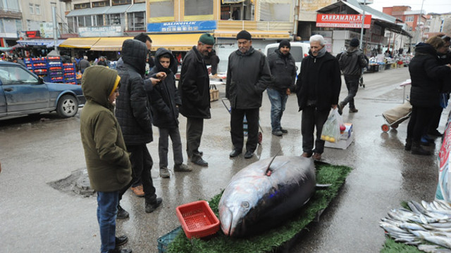 Orkinoslar büyük ilgi gördü